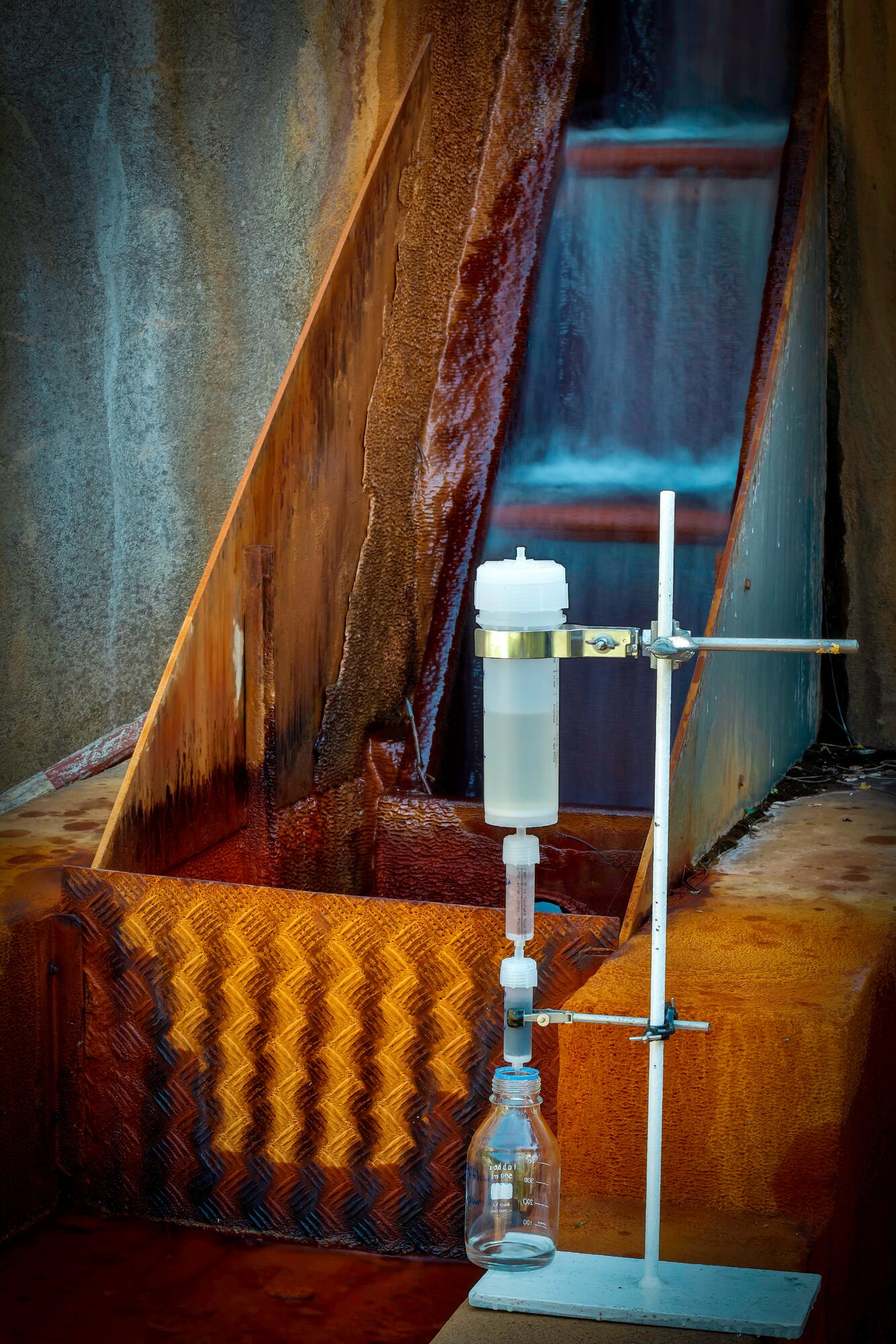 kl_mint_active-ingredient_field_plant_2019 -143-